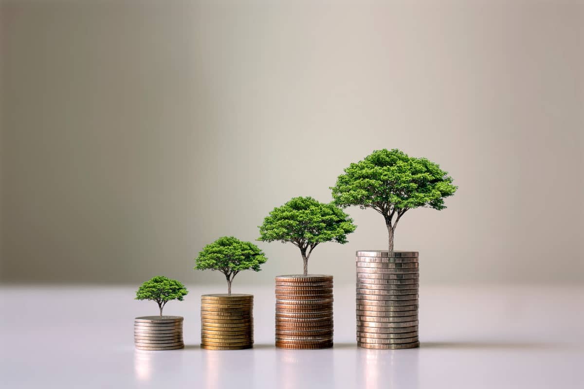 Árboles creciendo y madurando sobre montones de monedas de euro