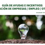 Guía De Ayudas E Incentivos Para Emprendedores De Andalucía Emprende