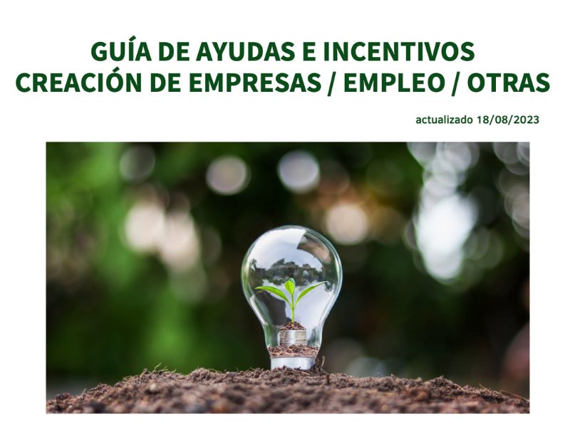 guía de ayudas e incentivos para emprendedores y empresas andaluzas